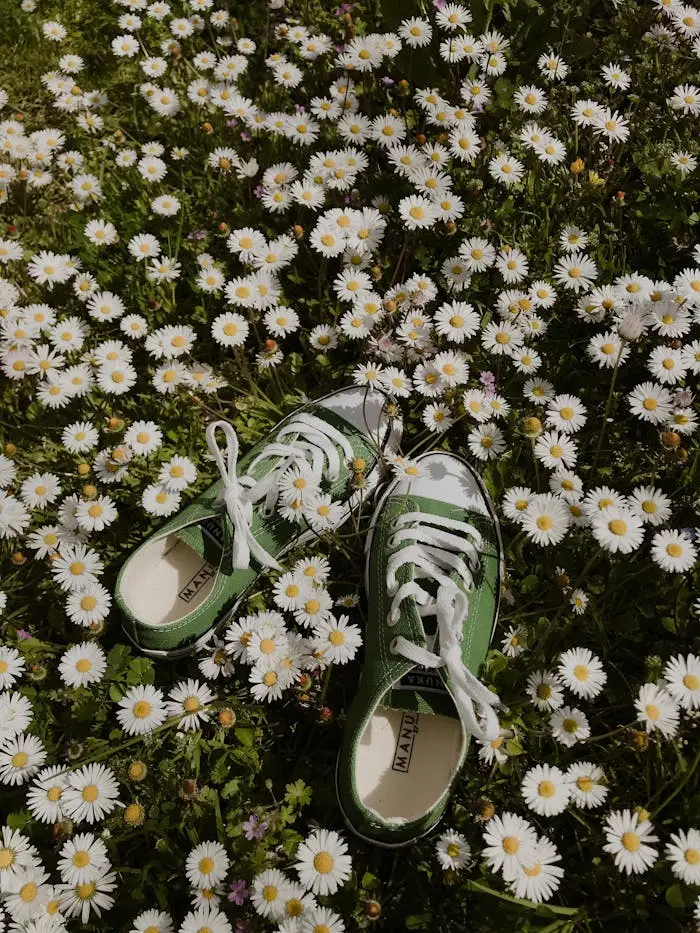 Green sneakers placed among blooming daisies in a vibrant summer meadow.